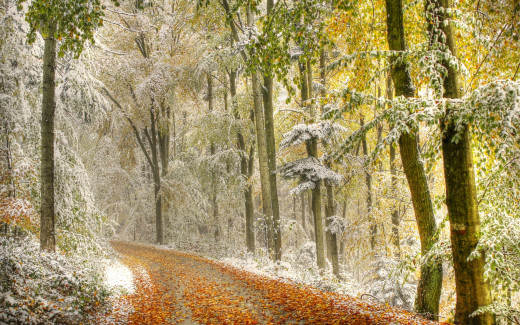 891444 (a): :2560x1600